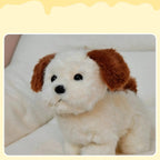 MINISO Proud & Sassy Puppy Plush Doll - Qootoy - Hong Kong Ying Yue Development Limited